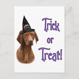 Vizsla Trick Postkarte