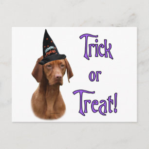 Vizsla Trick Postkarte