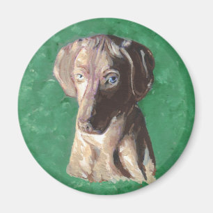 Vizsla, Ungarisch Pointer Magnet