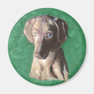 Vizsla, ungarischer Zeiger Magnet