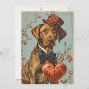 Vizsla Vintag Valentinstag Feiertagskarte