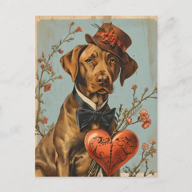 Vizsla Vintag Valentinstag Postkarte (Vorderseite)