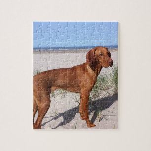 Vizsla Vollbild Puzzle