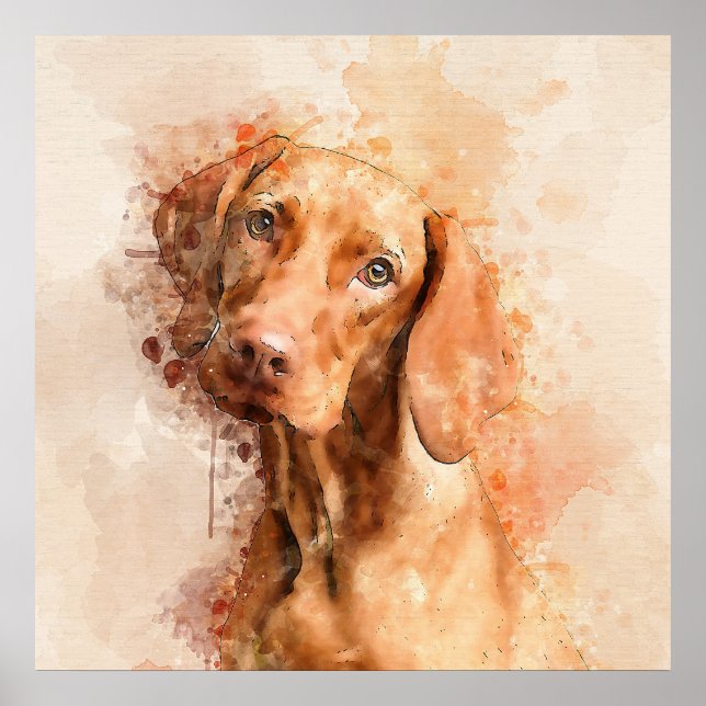 Vizsla Watercolor Poster (Vorne)