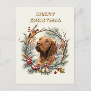 Vizsla Weihnachten