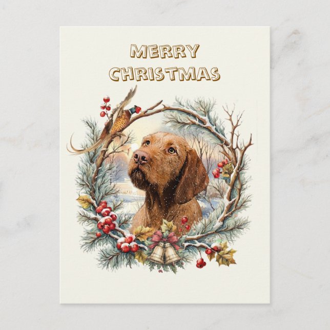 Vizsla Weihnachten  Postkarte (Vorderseite)