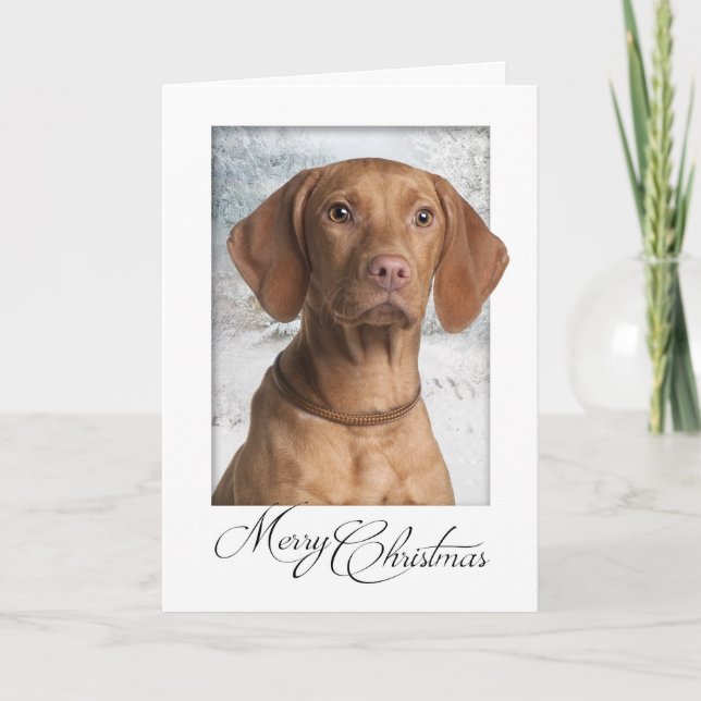 Vizsla Weihnachtskarte Feiertagskarte (Vorderseite)