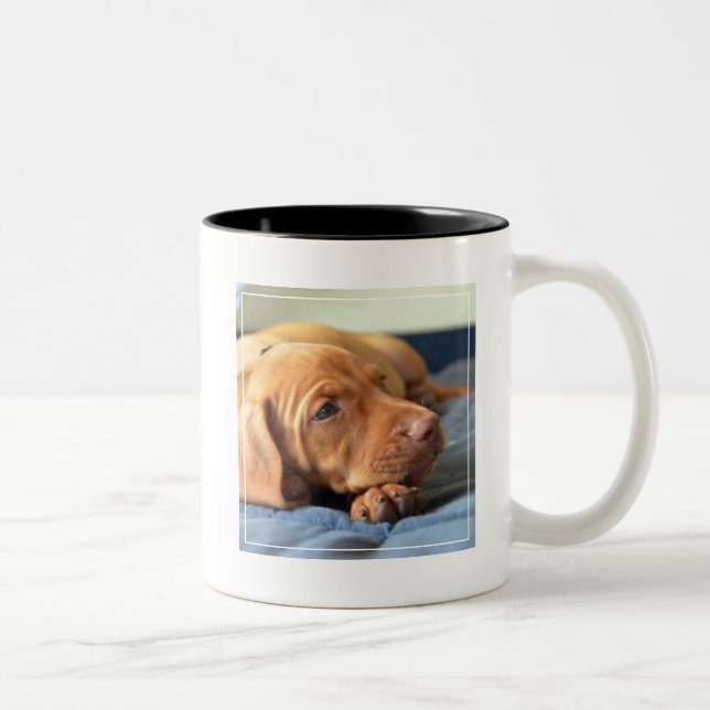 Vizsla Welpe, der auf seiner Tatze stillsteht Zweifarbige Tasse (Rechts)