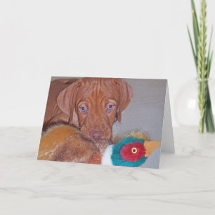 Vizsla Welpe mit Fasan-Gruß-Karte (Foto) Karte