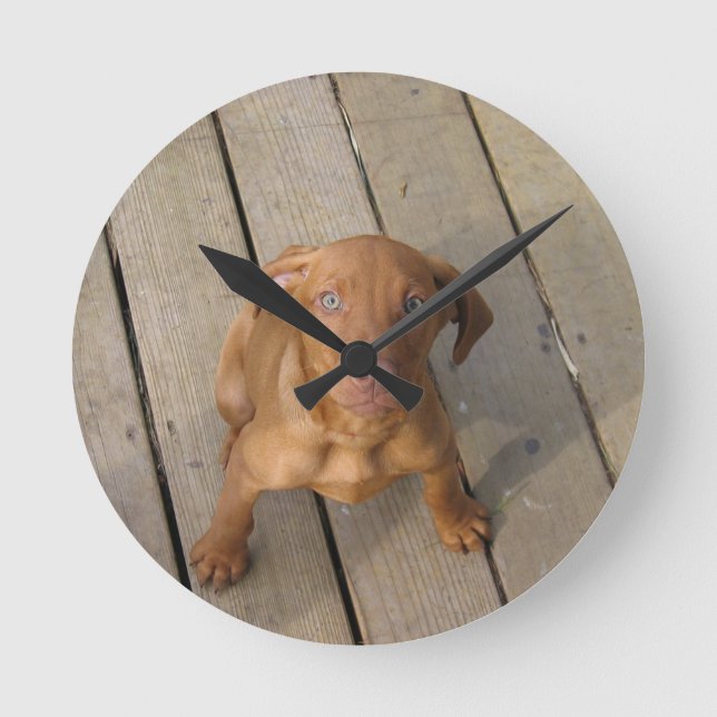 Vizsla Welpe Runde Wanduhr (Vorderseite)
