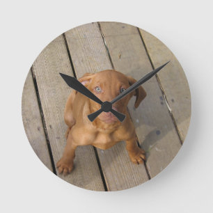 Vizsla-Welpe Runde Wanduhr