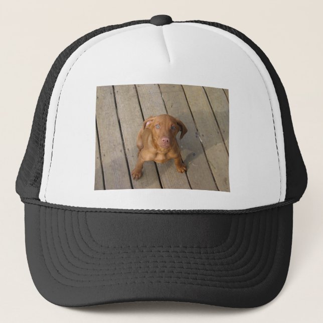 Vizsla Welpe Truckerkappe (Vorderseite)