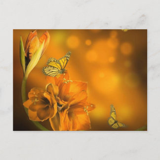 Vlinders oranje postkarte