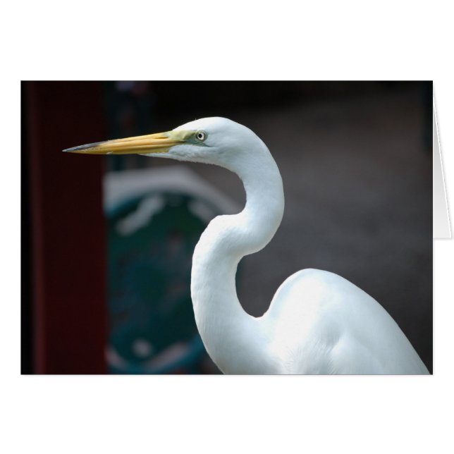 Vogel (Vorderseite (Horizontal))