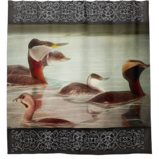 Vögel 1917 Grebes Duschvorhang