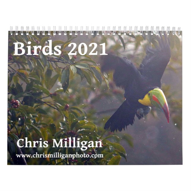 Vögel 2021 Kalender von Chris Milligan (Titelbild)