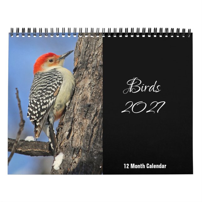 Vögel 2027 Kalender (Titelbild)