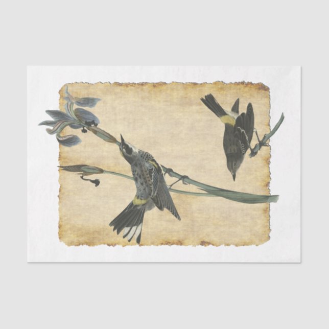 Vogel 32 Dekoupage Tissue Paper Seidenpapier (Vorderseite)