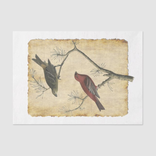 Vogel 34 Dekoupage Tissue Paper Seidenpapier (Vorderseite)