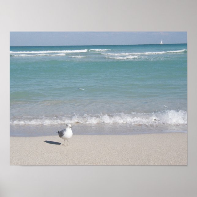 Vogel am Strand Poster (Vorne)