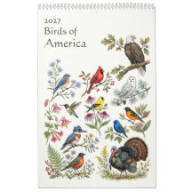 Vögel Amerikas - Einzelseite 2027