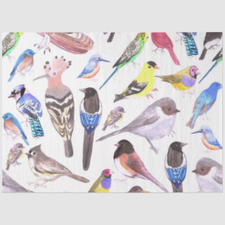 Vögel Amerikas - Heimtiere und Wildvögel Seidenpapier