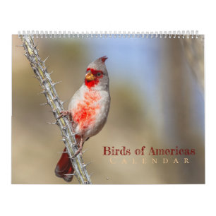 Vögel Amerikas Kalender