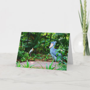 Vögel an der Singapur-Zoo-Gruß-Karte Karte
