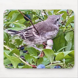 Vogel auf Blueberry Branch Mouse Pad Mousepad