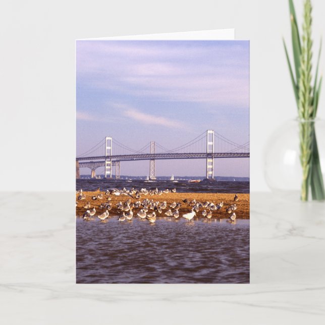 Vögel auf Chesapeake Bay Karte (Vorderseite)