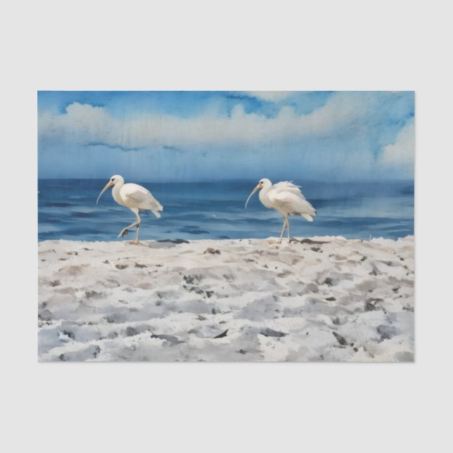 Vögel auf dem Strand-Tissue-Papier Seidenpapier (Vorderseite)