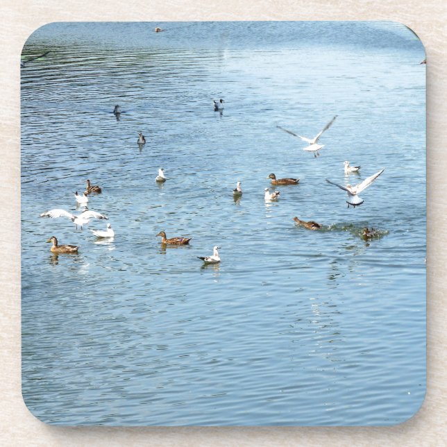 Vögel auf dem Summer River Getränkeuntersetzer (Vorderseite)