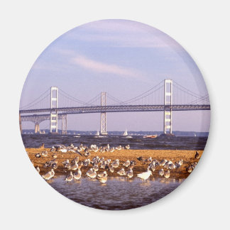 Vögel auf der Chesapeake Bay Magnet