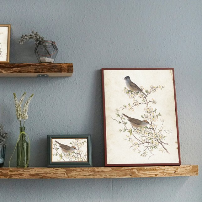 Vögel auf der Entfärbung von Parchment Seidenpapier (Von Creator hochgeladen)