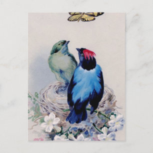 Vögel auf der Postkarte des Nest
