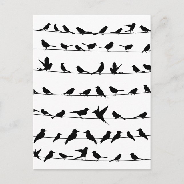 Vogel auf Draht4 Postkarte (Vorderseite)