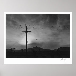 Vögel auf Draht, Abend 1943 Poster