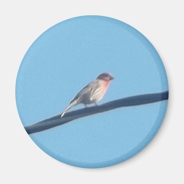 Vogel auf Draht Magnet (Vorne)