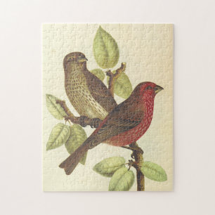 Vögel auf einem Ast, Vintage-Look-Puzzle Puzzle