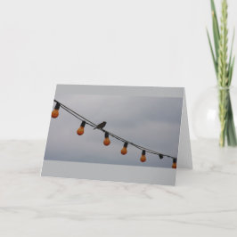 Vogel auf einem Draht - Foto-Kunst Karte