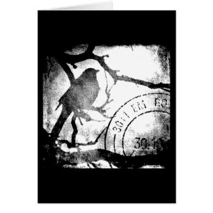 Vogel auf einem einfarbigen Zweig