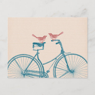 Vögel auf einem Fahrrad Postkarte