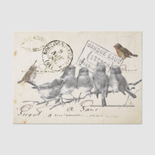 Vögel auf einem Zweig Französische Poststempel-Col Seidenpapier