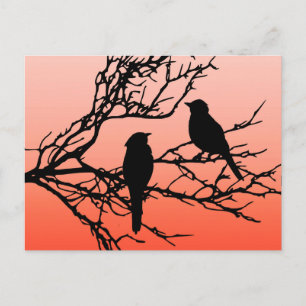 Vögel auf einem Zweig, schwarz gegen Sunset Orange Postkarte
