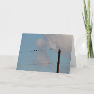 Vögel auf einer Schnur Karte