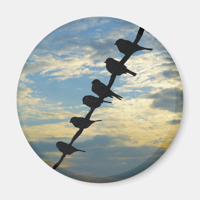 Vögel auf einer Schnur Magnet (Vorne)