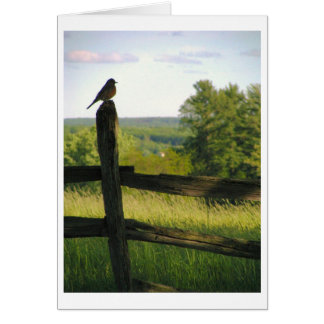 Vogel auf einer Zaun-Karte