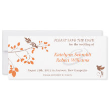 Vögel auf einer Zweigstelle Orange & Brown Save th