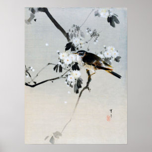 Vogel auf einer Zweigstelle von Cherry Blossom, Wa Poster