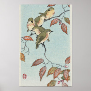 Vögel auf einer Zweigstelle von Ohara Koson Poster